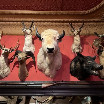 Buckhorn Exchange - Steakhouses Near Me - Denver, Colorado
