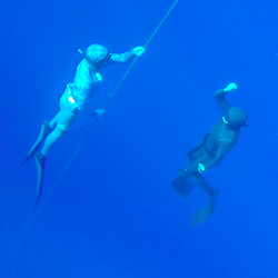 Freedive Ohana