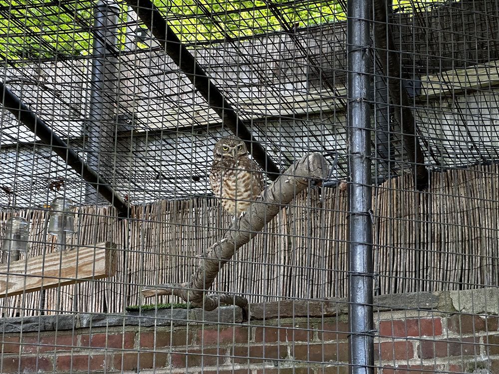 BRANDYWINE ZOO 119 Photos & 57 Reviews 1001 N Park Dr, Wilmington