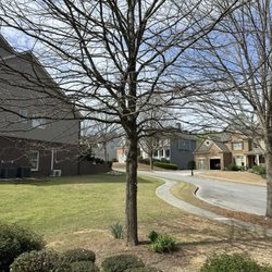 Kilpatrick's Tree Farm & Nursery - The old tree that was destroying our front yard