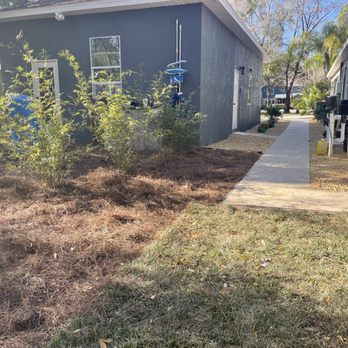 The Garden Gnome - After - Landscape Architects or Designers Near Me - Wesley Chapel, Florida