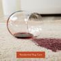 Photo of Residential Rug Care