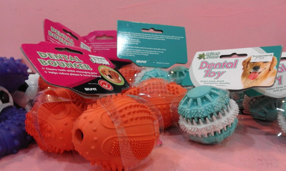 STAR PETS Updated August 2024 Palm Drive, Makati, Metro Manila