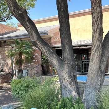 Pappadeaux Seafood Kitchen - Great oyster bar and cold beer - Seafood Near Me - Albuquerque, New Mexico