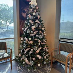 Ledesma Optometry - Inside Christmas decor