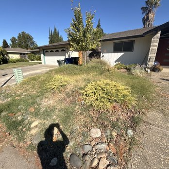 Get it Done yard cleanups - Before - Landscaping Near Me Get it Done yard cleanups - Before - Landscaping Near Me