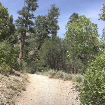 Fletcher Canyon - Hiking Near Me - Las Vegas, Nevada Fletcher Canyon - Hiking Near Me - Las Vegas, Nevada