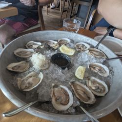 Fresh pei oysters