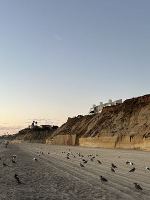 Fletcher Cove Beach Park by null