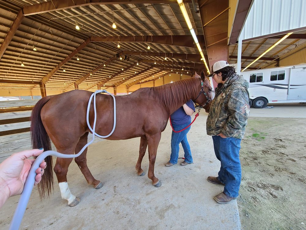 17 Photos Grifton, North Carolina Holistic Animal Care Phone