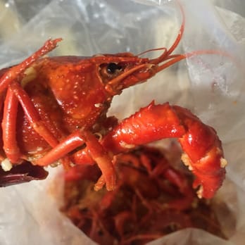 Claw Shack - Good sized crawfish :) - Cajun/Creole Near Me - San Jose, California Claw Shack - Good sized crawfish :) - Cajun/Creole Near Me - San Jose, California