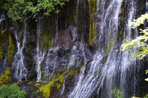 Panther Creek Falls by null