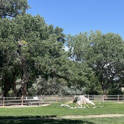 Westland Dog Park