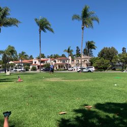Vetter Park - Sitting under the big tree looking at the swings in the background