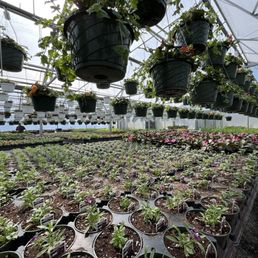 Greenhouse