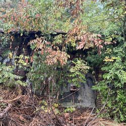 Shutes Branch Recreation Area - Rough bathrooms....