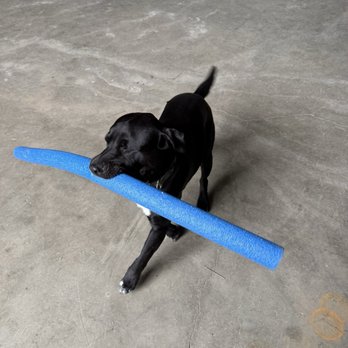 Petco - Pet Groomers Near Me - Minot, North Dakota