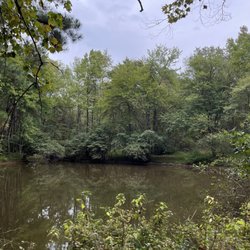 Sevenoaks Retreat Center - The pond is a serene place to sit and meditate.
