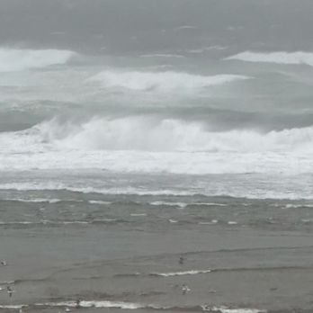 Shearwater Inn - Massive waves and high tides - Hotels Near Me - Lincoln City, Oregon Shearwater Inn - Massive waves and high tides - Hotels Near Me - Lincoln City, Oregon