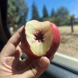 Nectarine