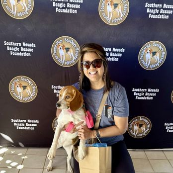 Beaglefest Las Vegas - 2024 Beaglefest Las Vegas sponsored by Southern Nevada Beagle Rescue Foundation - Community Service/Non-Profit Near Me Beaglefest Las Vegas - 2024 Beaglefest Las Vegas sponsored by Southern Nevada Beagle Rescue Foundation - Community Service/Non-Profit Near Me
