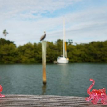The Pink Elephant - Elephant salute - American Near Me - Boca Grande, Florida