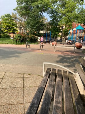 Ciccarone Park by null