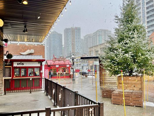 BeaverTails- Queues de Castor (Byward Market) by null