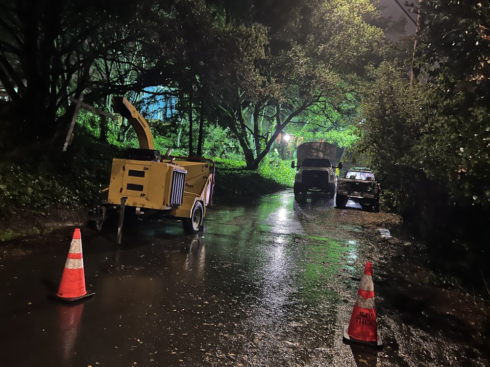 JMV TREE SERVICE 147 Photos & 150 Reviews Hayward, CA Yelp