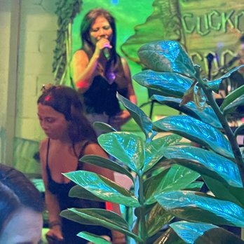 Cuckoo Coconuts Waikiki - Dinner and a show - Cocktail Bars Near Me - Honolulu, Hawaii Cuckoo Coconuts Waikiki - Dinner and a show - Cocktail Bars Near Me - Honolulu, Hawaii