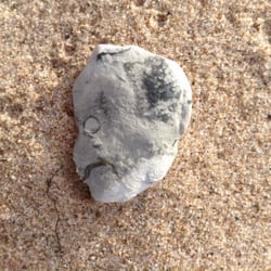 Blue Moon Resort - What do you see!