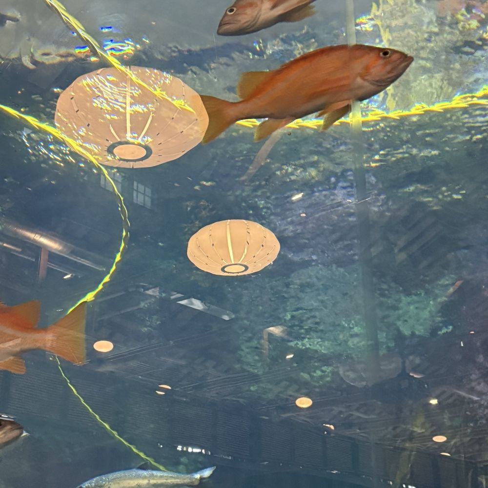 Seattle Aquarium - Aquariums Near Me - Seattle, Washington Seattle Aquarium - Aquariums Near Me - Seattle, Washington