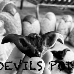 Apothecary Suil Crow - Ritual Accessories