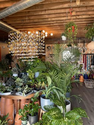 The Living Room by null