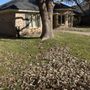R&R Lawn Services