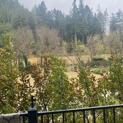 Russian River Getaways - Russian River takes over