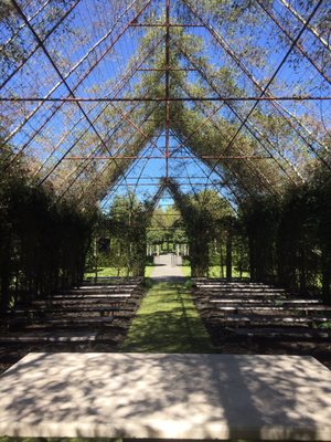 TreeChurch and Gardens by null