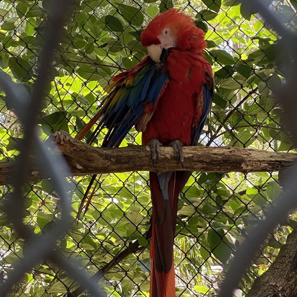 Chattanooga Zoo At Warner Park - Amusement Parks Near Me - Chattanooga, Tennessee