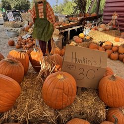 Harvest Patch