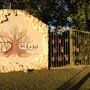 Photo of El Árbol Playacar