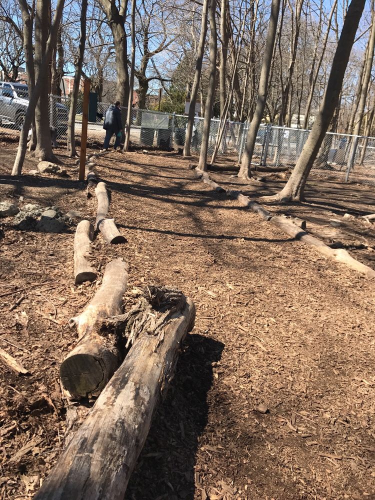 Waterman St Dog Park