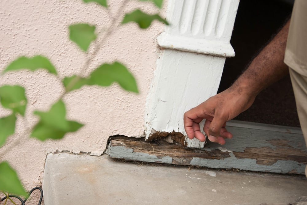 Common Sense Inspections - mold inspector in Seattle, WA