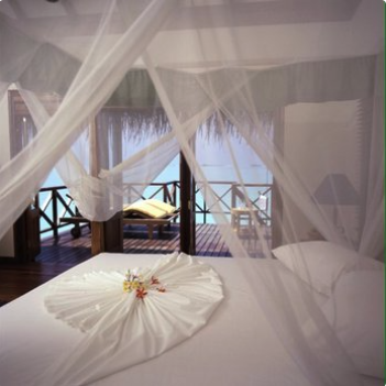 Adjustable Bed Repair ! - Give us a call !