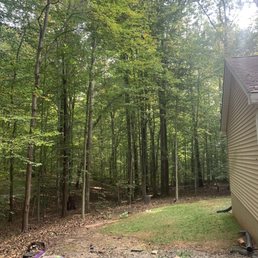 Side yard
