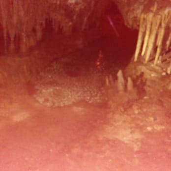 Florida Caverns State Park - Inside the caverns. - Parks Near Me - Marianna, Florida Florida Caverns State Park - Inside the caverns. - Parks Near Me - Marianna, Florida