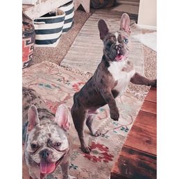 Nash and Tenn... (pre-op!) Nash and Tenn... (pre-op!)