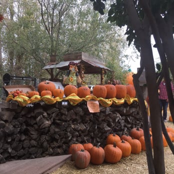 Banducci's Family Pumpkin Patch - Pumpkin prices - Pumpkin Patches Near Me - Bakersfield, California Banducci's Family Pumpkin Patch - Pumpkin prices - Pumpkin Patches Near Me - Bakersfield, California