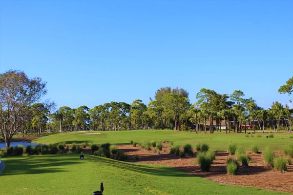 Palmetto-Pine Country Club by null