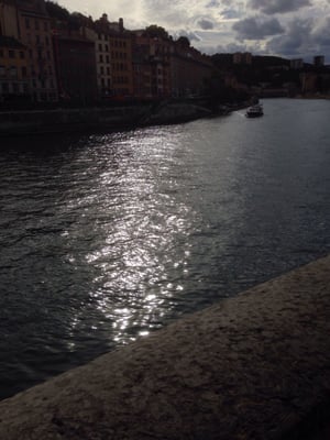 Fresque des Lyonnais by null