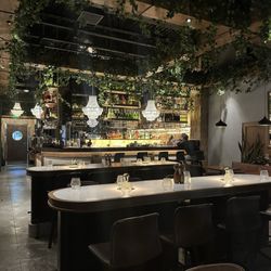 Davinci - Interior